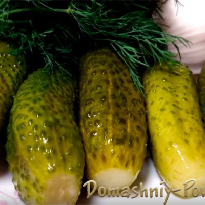 Малосольные огурцы с чесноком и зеленью в банке на сайте Домашний повар